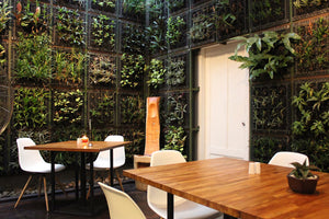 🪴 Nachhaltige Innenarchitektur: Warum Einrichtung heute mehr als Design ist